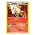Rapidash