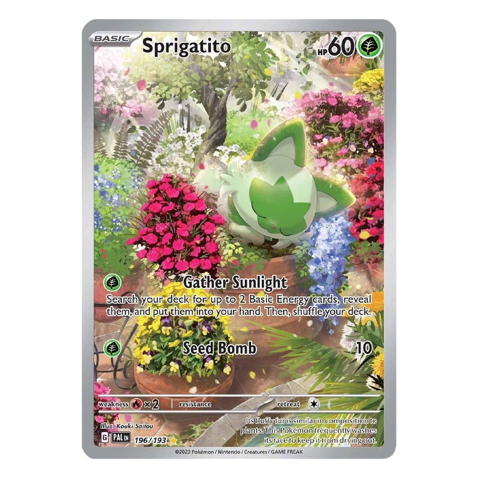 Sprigatito