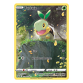 Turtwig